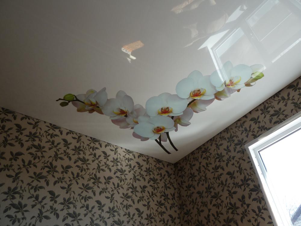 Белая орхидея - натяжной потолок с фотопечатью в Давыдовке фото 