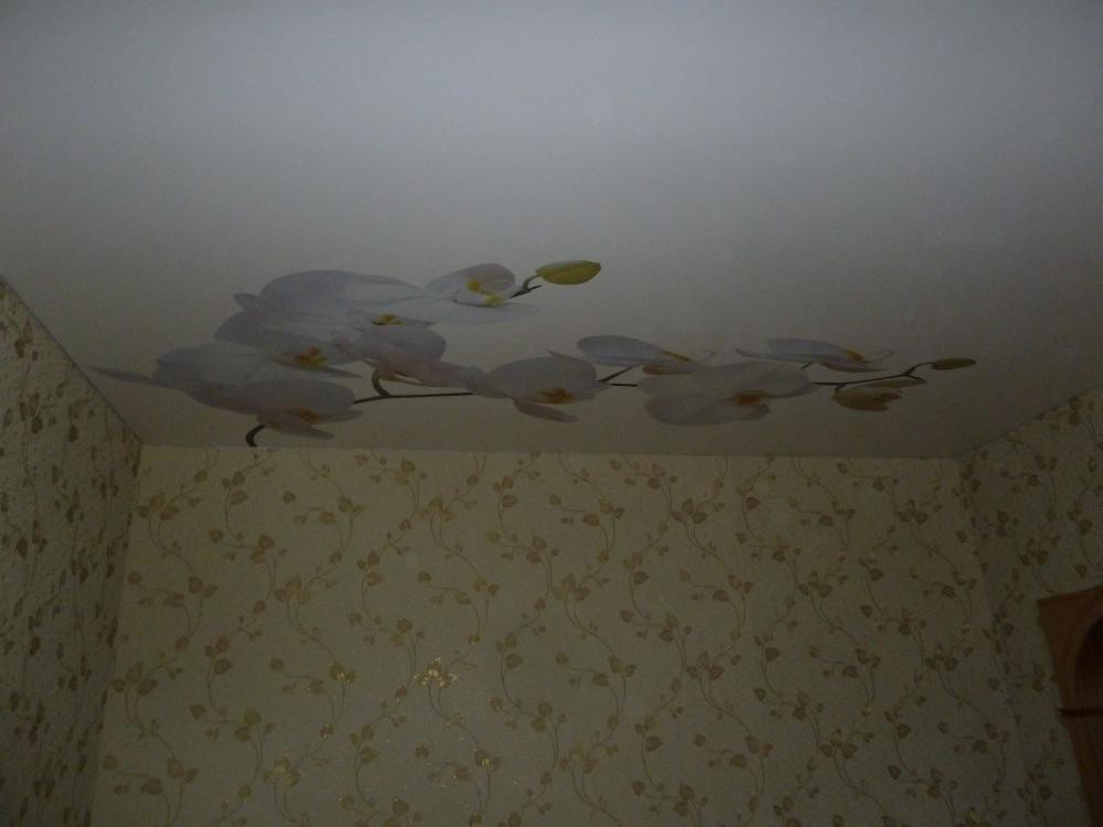 Фотопечать на натяжном потолке: цветы, белые орхидеи. Лиски