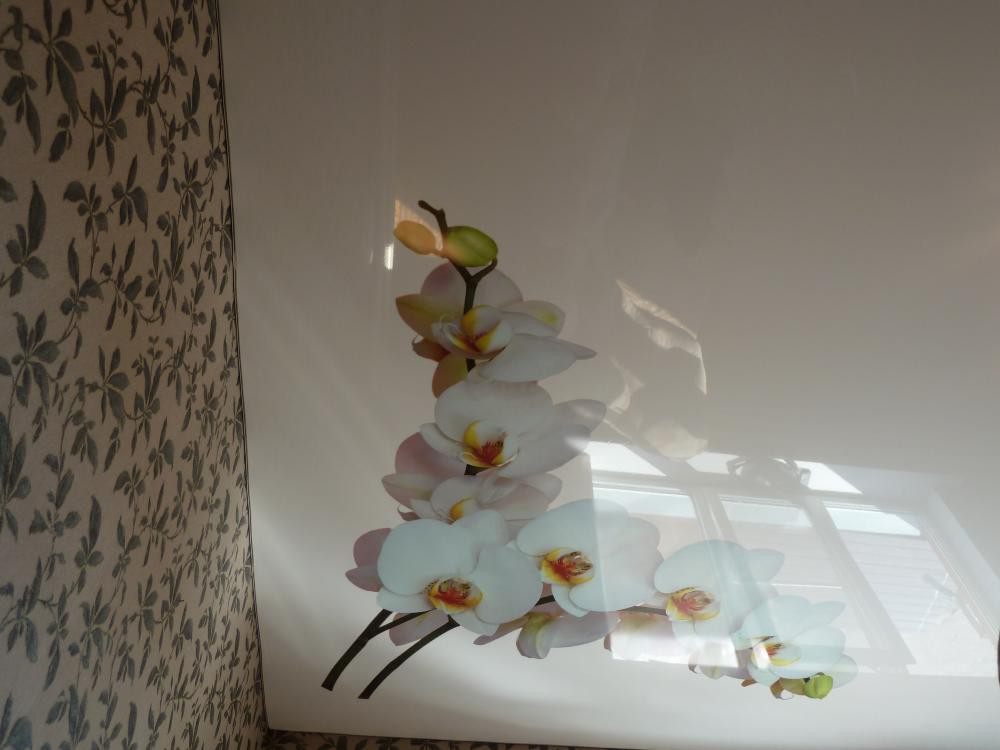 Белая орхидея - натяжной потолок с фотопечатью в Давыдовке